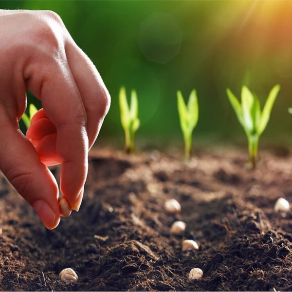 1 ΣΠΟΡΟΙ-ΦΥΤΑ